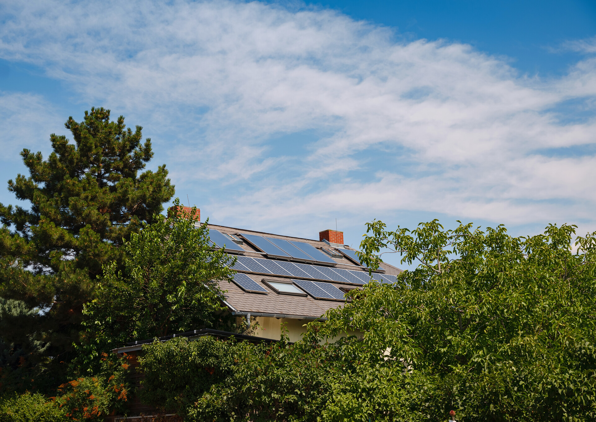 Make Your Home Greener
