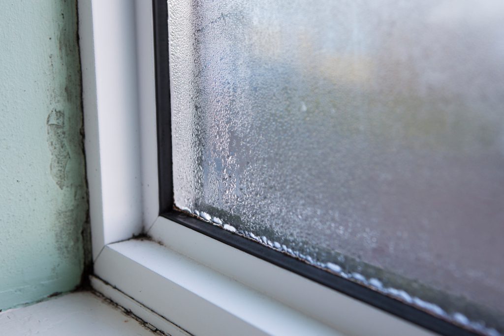 House Window With Damp And Condensation, not enough ventilation in house, damp and mould problems