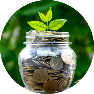 Money being saved in a jar with a plant coming out