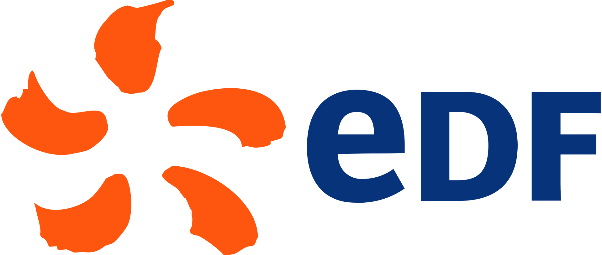EDF Energy supplier logo