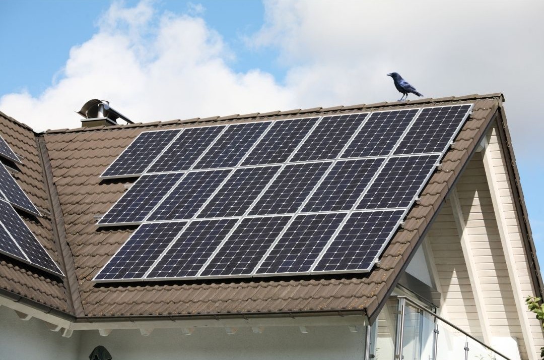 A black bird perched on the edge of a residential roof array of solar panels under a partly cloudy blue sky.